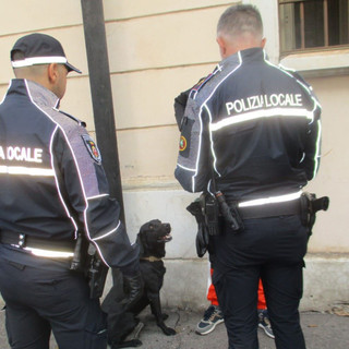 Controlli fino all’alba e tolleranza zero al degrado: la Polizia Locale rafforza la sicurezza a Gallarate Controlli fino all’alba e tolleranza zero al degrado: la Polizia Locale rafforza la sicurezza a Gallarate