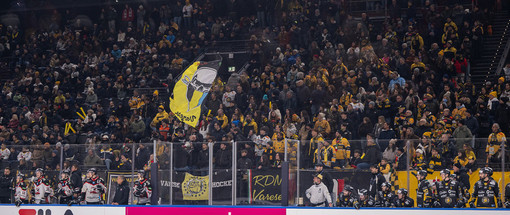 Ripartiamo dal popolo giallonero presente in massa a Milano per la semifinale di Coppa