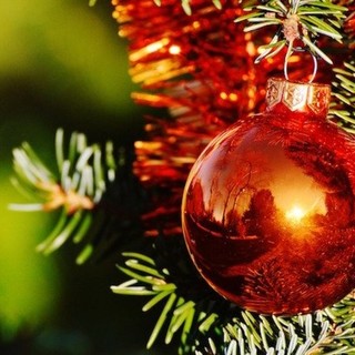 Inizia il Natale anche a Induno: stasera l'accensione del grande albero