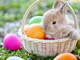 A SPASSO NEL WEEKEND. Uova, street food e caccia al tesoro. Ecco cosa fare nel fine settimana di Pasqua