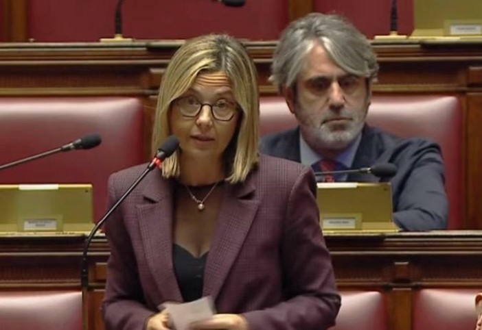Gadda: «Protezione civile, senza risorse la riforma rischia di restare una scatola vuota» Gadda: «Protezione civile, senza risorse la riforma rischia di restare una scatola vuota»