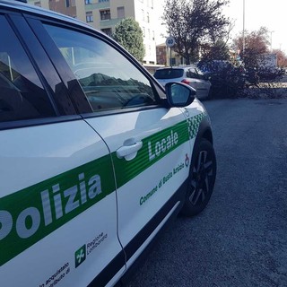 Pianta caduta in via Quintino Sella