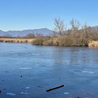 Nella foto di Mario Chiodetti il lago e la palude Brabbia in una gelida giornata d'inverno varesino Nella foto di Mario Chiodetti il lago e la palude Brabbia in una gelida giornata d'inverno varesino