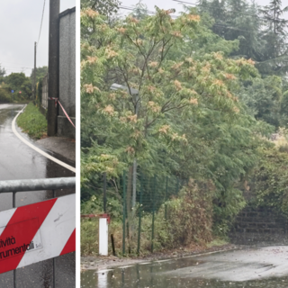 FOTO. Saluti dal ponticello che con la pioggia non "delude" mai FOTO. Saluti dal ponticello che con la pioggia non "delude" mai