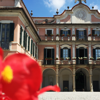 Se son rose, fioriranno