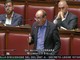 Ex Ilva, Ferrara (M5S): «Il Governo dirotta i fondi per l'idrogeno verde, Taranto resta nel caos» Ex Ilva, Ferrara (M5S): «Il Governo dirotta i fondi per l'idrogeno verde, Taranto resta nel caos»