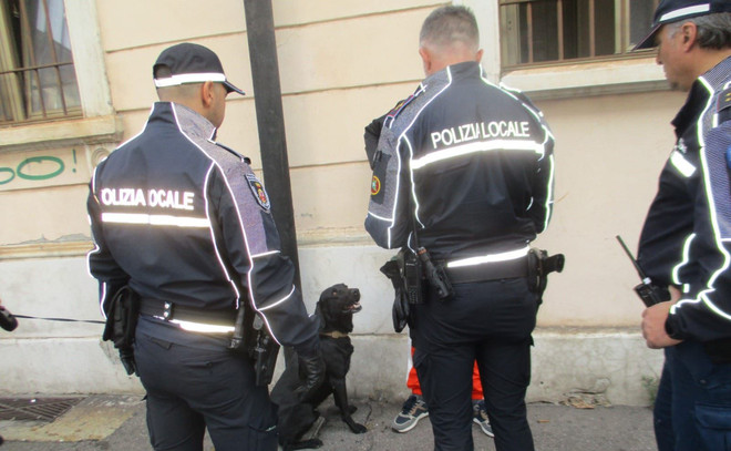 Controlli fino all’alba e tolleranza zero al degrado: la Polizia Locale rafforza la sicurezza a Gallarate
