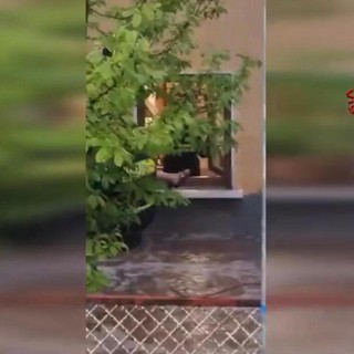 I vigili del fuoco portano in salvo una persona dal primo piano della sua abitazione a Induno