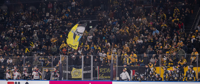 Ripartiamo dal popolo giallonero presente in massa a Milano per la semifinale di Coppa Ripartiamo dal popolo giallonero presente in massa a Milano per la semifinale di Coppa