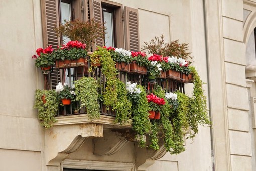 Come e quando inaffiare le piante in condominio