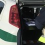 Varese, la polizia locale sventa il furto di un irregolare in via del Cairo. «Spero che le procedure di espulsione vadano a buon fine» Varese, la polizia locale sventa il furto di un irregolare in via del Cairo. «Spero che le procedure di espulsione vadano a buon fine»
