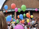 I palloncini prendono il volo davanti alla chiesa di San Carlo a Varese in direzione Venezia. Sotto in gallery alcuni dei disegni atterrati in Laguna dopo il lungo volo iniziato nei cieli della Città Giardino I palloncini prendono il volo davanti alla chiesa di San Carlo a Varese in direzione Venezia. Sotto in gallery alcuni dei disegni atterrati in Laguna dopo il lungo volo iniziato nei cieli della Città Giardino