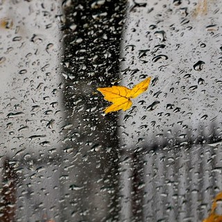 Entro sera il vento spazzerà via le nuvole, weekend asciutto ma con forte calo delle minime