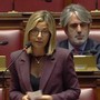 Gadda: «Protezione civile, senza risorse la riforma rischia di restare una scatola vuota» Gadda: «Protezione civile, senza risorse la riforma rischia di restare una scatola vuota»