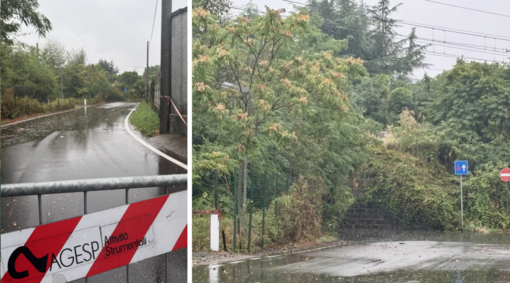 FOTO. Saluti dal ponticello che con la pioggia non "delude" mai FOTO. Saluti dal ponticello che con la pioggia non "delude" mai