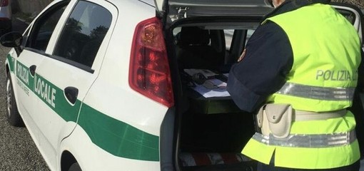 Varese, la polizia locale sventa il furto di un irregolare in via del Cairo. «Spero che le procedure di espulsione vadano a buon fine» Varese, la polizia locale sventa il furto di un irregolare in via del Cairo. «Spero che le procedure di espulsione vadano a buon fine»