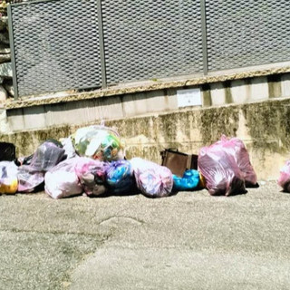 Nessuna scusa per l'inciviltà: chi sbaglia e non ha rispetto dell'ambiente, paga