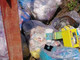 (foto generica d'archivio) (foto generica d'archivio)