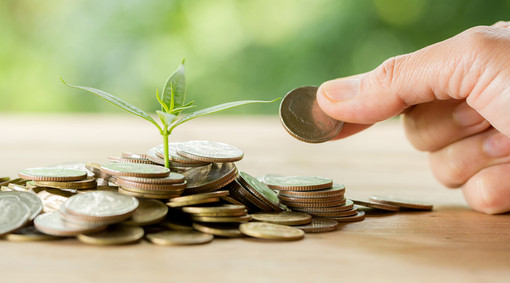 Come Top Eventi Noleggio ha trasformato il settore degli eventi con un modello di noleggio sostenibile