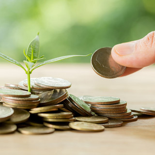 Come Top Eventi Noleggio ha trasformato il settore degli eventi con un modello di noleggio sostenibile