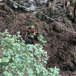 Ritrovati illesi due cercatori di funghi dispersi in val Vigezzo