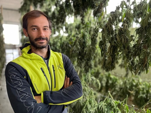 È iniziata la raccolta della cannabis, a Induno un'azienda guarda al futuro: «Superiamo gli stereotipi, questa pianta è ricca di proprietà benefiche»
