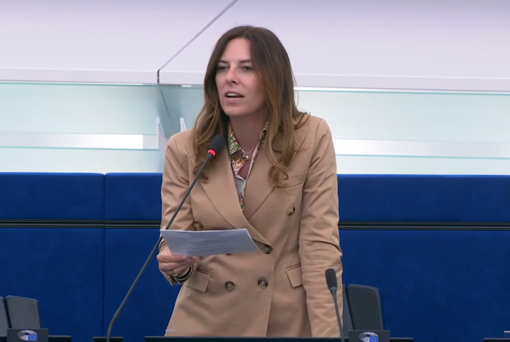 Flat tax, Tovaglieri: «No a crociata della Ue contro Partite Iva» Flat tax, Tovaglieri: «No a crociata della Ue contro Partite Iva»