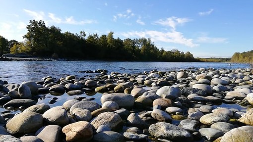 L'appello del Parco: «Non fare il bagno nel Ticino, il divieto serve a salvarti la vita» L'appello del Parco: «Non fare il bagno nel Ticino, il divieto serve a salvarti la vita»