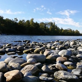 L'appello del Parco: «Non fare il bagno nel Ticino, il divieto serve a salvarti la vita»