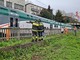 FerrovieNord: riparati i danni causati dal maltempo sulle tratte di Varese e Como