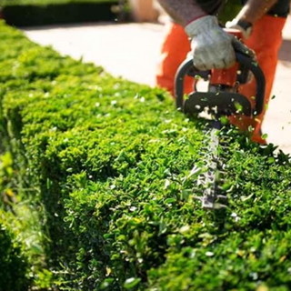 Castellanza: stretta di mano tra Amga e Comune per la manutenzione del verde pubblico
