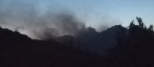 LA LETTERA. Quel fumo oltre gli alberi e l'angoscia. Ma anche gratitudine per chi si sta battendo contro gli incendi nel Vco LA LETTERA. Quel fumo oltre gli alberi e l'angoscia. Ma anche gratitudine per chi si sta battendo contro gli incendi nel Vco