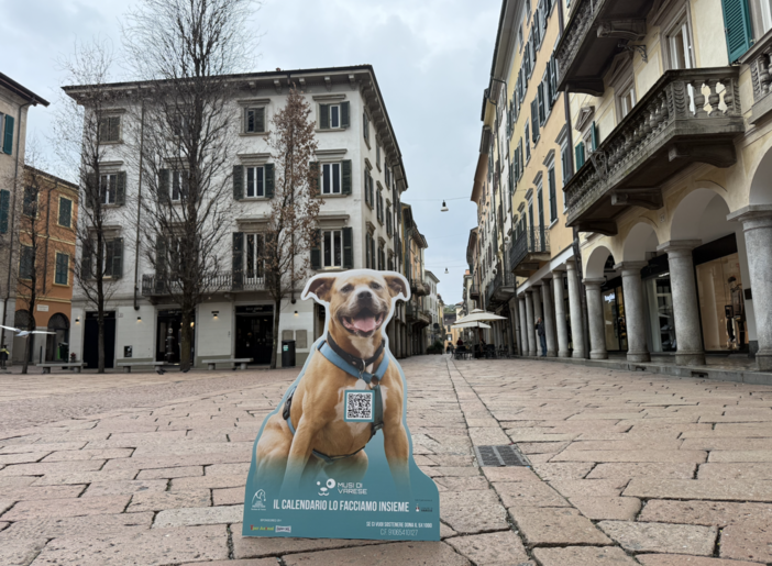 Nasce “Musi di Varese”, il primo calendario della città dedicato a cani e padroni