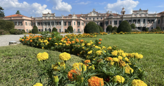 Il Comune di Varese mette all’asta 12 immobili: ci sono villette, terreni e l'ex scuola Gorini Il Comune di Varese mette all’asta 12 immobili: ci sono villette, terreni e l'ex scuola Gorini