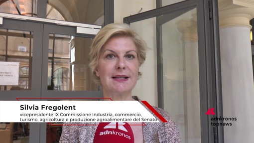 Economia: Fregolent (IV), 'migliorare burocrazia, energia, giustizia e trasporti per attrarre investimenti'