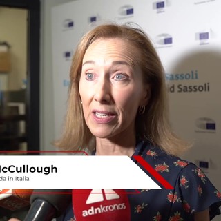Europa: McCullough (ambasciatrice d'Irlanda), 'Competitività, valori e sicurezza al centro della Presidenza irlandese' Europa: McCullough (ambasciatrice d'Irlanda), 'Competitività, valori e sicurezza al centro della Presidenza irlandese'
