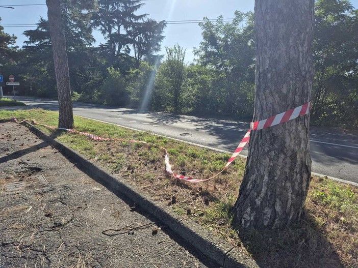 Castellanza, «Dopo questa tragedia affrontiamo il problema sicurezza con serietà e concretezza» Castellanza, «Dopo questa tragedia affrontiamo il problema sicurezza con serietà e concretezza»