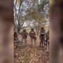 La preghiera dei soldati prima della battaglia, le immagini dall'Ucraina La preghiera dei soldati prima della battaglia, le immagini dall'Ucraina