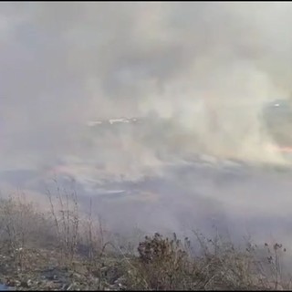 Incendio a Brindisi, a fuoco vasta area sterpaglie e canneto in zona industriale
