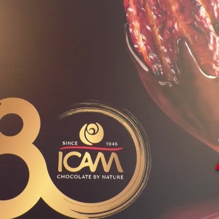 Aziende: Icam compie 80 anni e presenta il Bilancio di Sostenibilità 2025