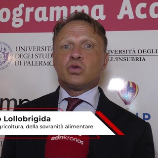 Alimentazione: Lollobrigida, 'Plasmon è qualità italiana in filiera per benessere dei bimbi' Alimentazione: Lollobrigida, 'Plasmon è qualità italiana in filiera per benessere dei bimbi'