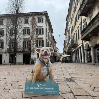 Nasce “Musi di Varese”, il primo calendario della città dedicato a cani e padroni