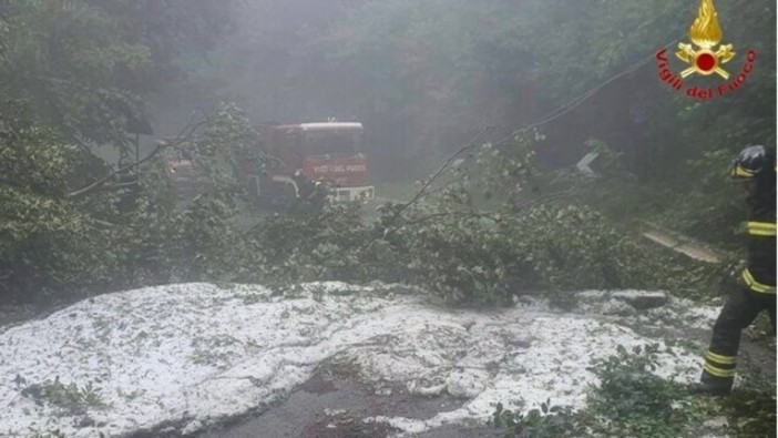 Maltempo in Lombardia, vigili del fuoco ancora in azione per alberi pericolanti, allagamenti e dissesti. Soprattutto a Milano Maltempo in Lombardia, vigili del fuoco ancora in azione per alberi pericolanti, allagamenti e dissesti. Soprattutto a Milano