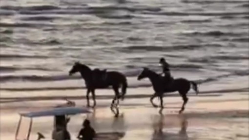 Paura per Belen Rodriguez, rovinosa caduta da cavallo sulla spiaggia Paura per Belen Rodriguez, rovinosa caduta da cavallo sulla spiaggia
