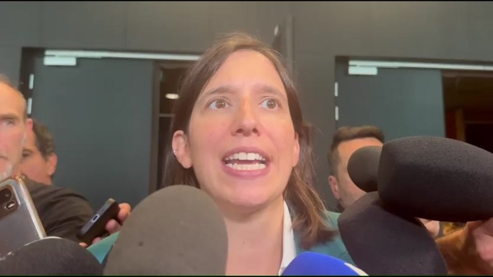 Schlein dice sì a Bonelli e Fratoianni: "Pd c'è per manifestazione unitaria" Schlein dice sì a Bonelli e Fratoianni: "Pd c'è per manifestazione unitaria"