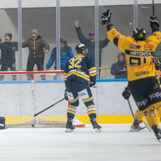 Varese-Pergine: conta solo vincere. È la partita che decide il futuro, quella di chi ama davvero i Mastini