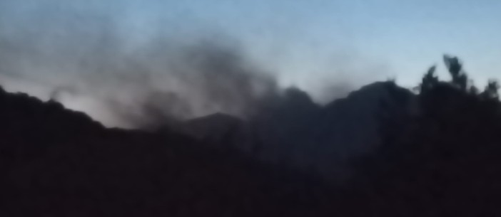LA LETTERA. Quel fumo oltre gli alberi e l'angoscia. Ma anche gratitudine per chi si sta battendo contro gli incendi nel Vco