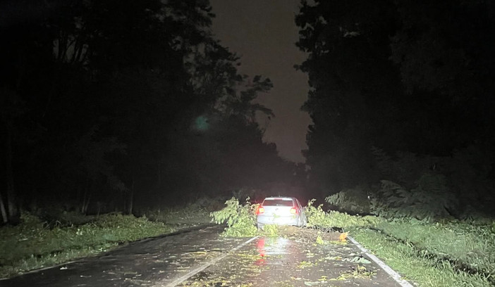 Gorla Maggiore. Via Como, dopo la tromba d’aria scatta la messa in sicurezza: strada chiusa sabato Gorla Maggiore. Via Como, dopo la tromba d’aria scatta la messa in sicurezza: strada chiusa sabato