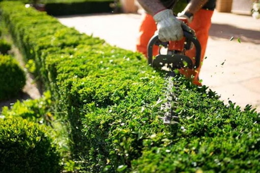 Castellanza: stretta di mano tra Amga e Comune per la manutenzione del verde pubblico Castellanza: stretta di mano tra Amga e Comune per la manutenzione del verde pubblico