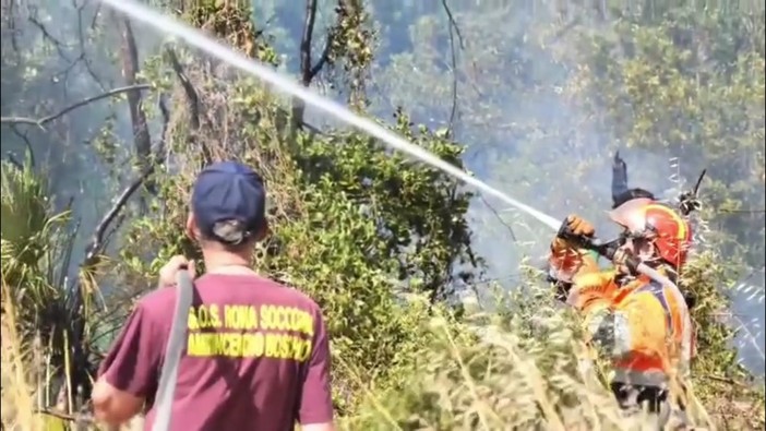 Incendio a Castel Porziano, Canadair in azione a Ostia Incendio a Castel Porziano, Canadair in azione a Ostia